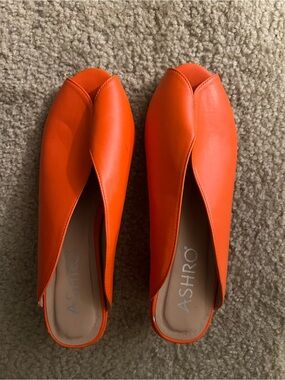 Ashro mules